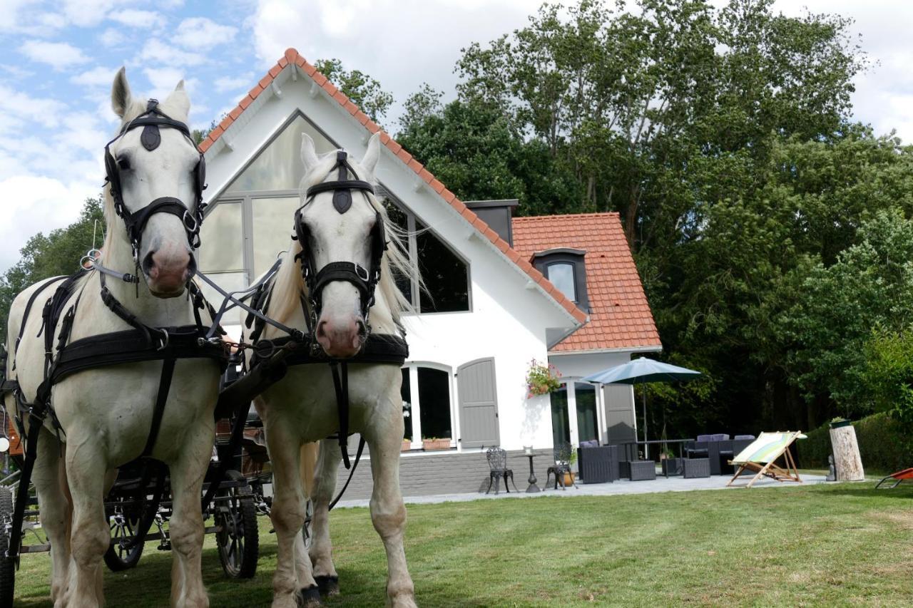 Bed and Breakfast La Garonde Boeschepe Exteriér fotografie